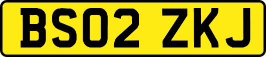 BS02ZKJ