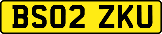 BS02ZKU