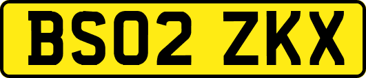 BS02ZKX