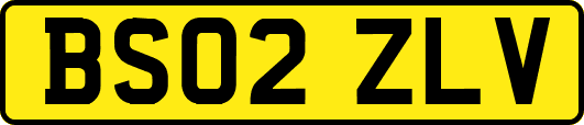 BS02ZLV