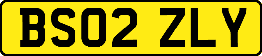 BS02ZLY