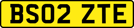 BS02ZTE
