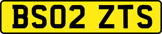 BS02ZTS