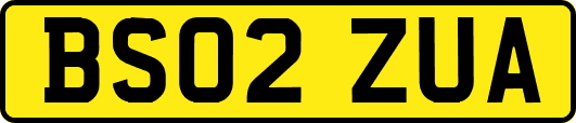 BS02ZUA