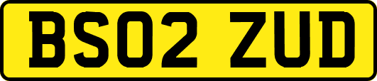 BS02ZUD