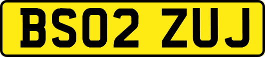 BS02ZUJ