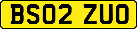BS02ZUO