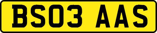 BS03AAS