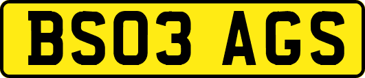 BS03AGS