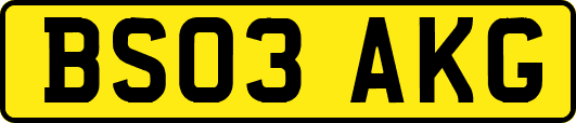 BS03AKG