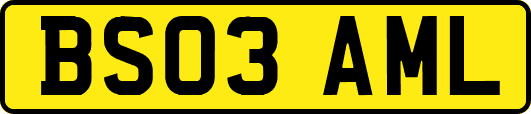 BS03AML