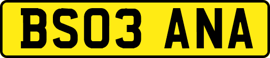 BS03ANA