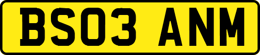 BS03ANM