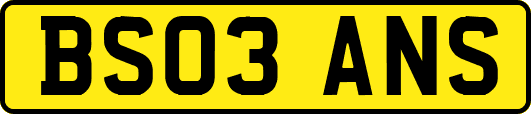 BS03ANS