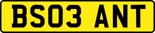 BS03ANT
