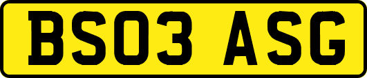BS03ASG