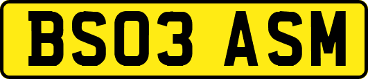BS03ASM