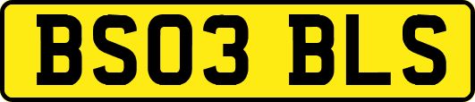 BS03BLS