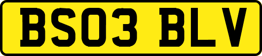 BS03BLV