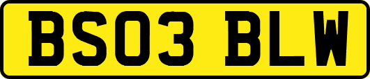 BS03BLW