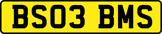 BS03BMS