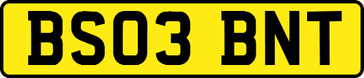 BS03BNT