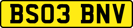 BS03BNV