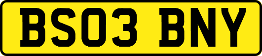 BS03BNY