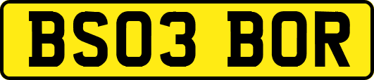 BS03BOR