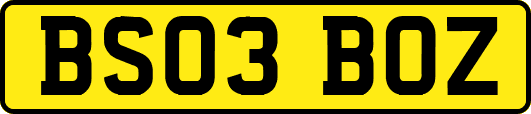 BS03BOZ