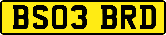 BS03BRD