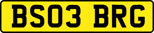 BS03BRG