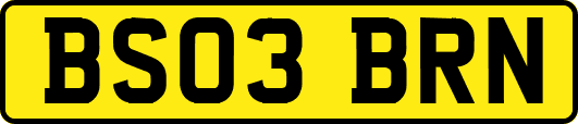 BS03BRN