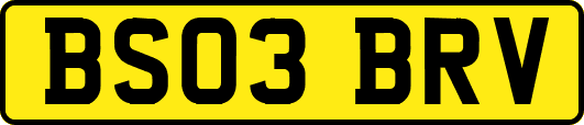 BS03BRV