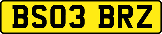BS03BRZ