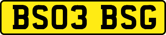 BS03BSG