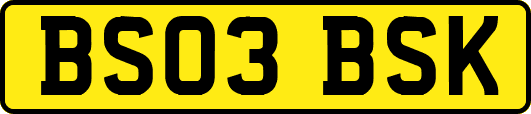 BS03BSK
