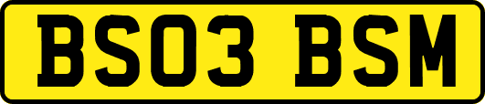 BS03BSM