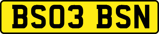 BS03BSN