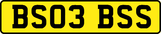 BS03BSS