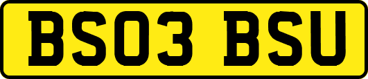 BS03BSU
