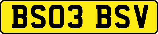 BS03BSV
