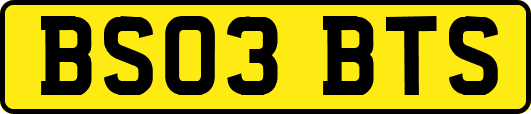 BS03BTS