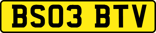 BS03BTV