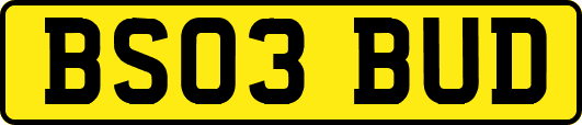 BS03BUD