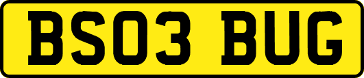 BS03BUG