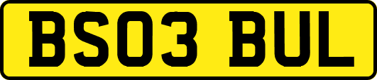 BS03BUL