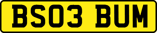 BS03BUM