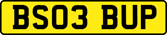 BS03BUP