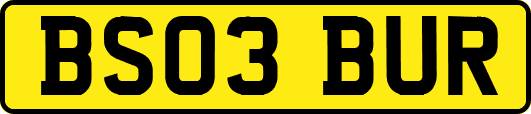 BS03BUR